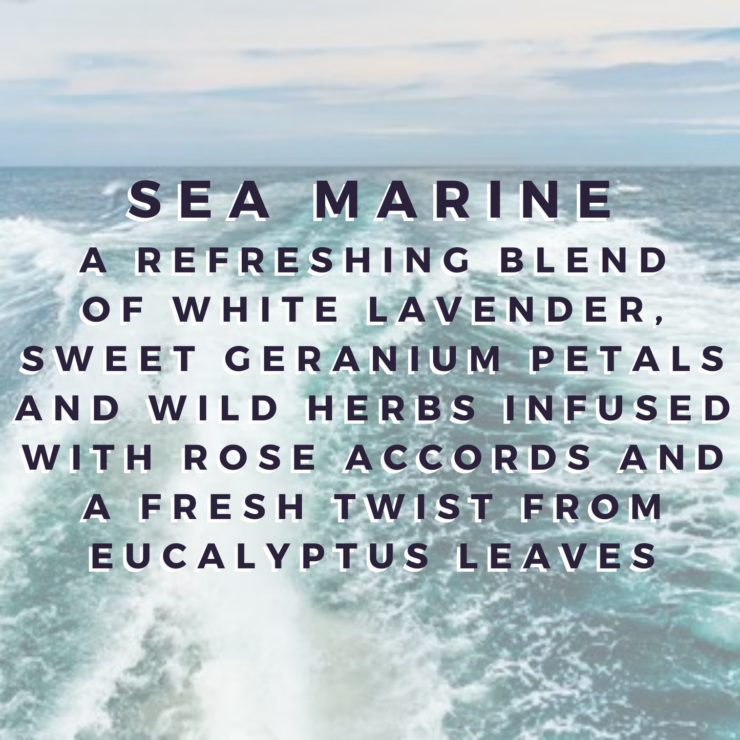 Sea Marine Wax Bar