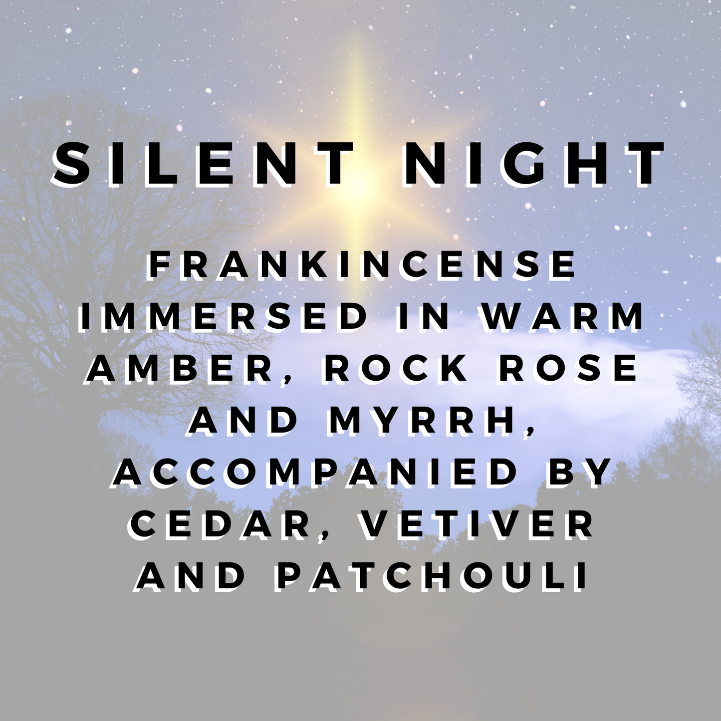 Silent Night Wax Melt