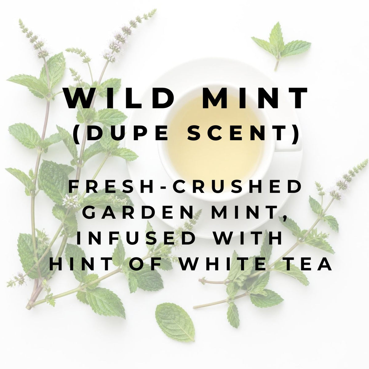 NEW Wild Mint Wax Melt Bar (dupe)