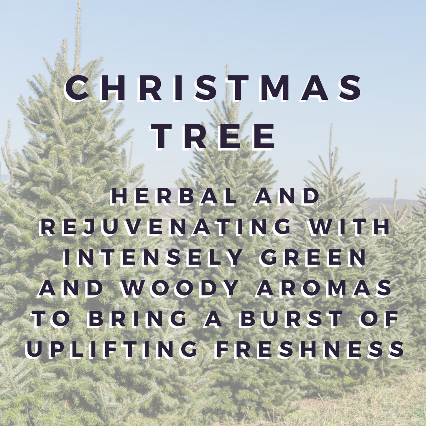 Christmas Tree Wax Melt