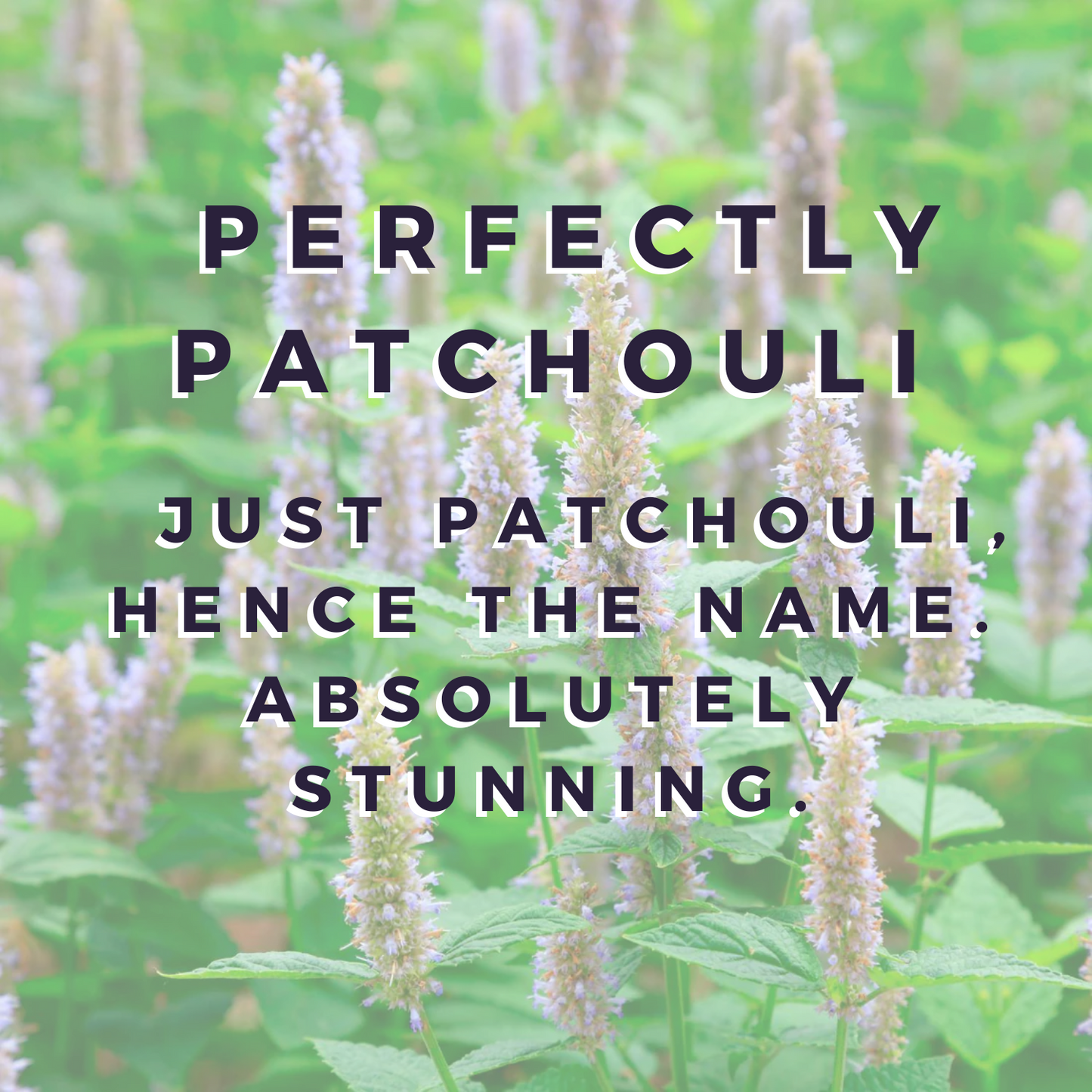 Perfectly Patchouli Wax Bar