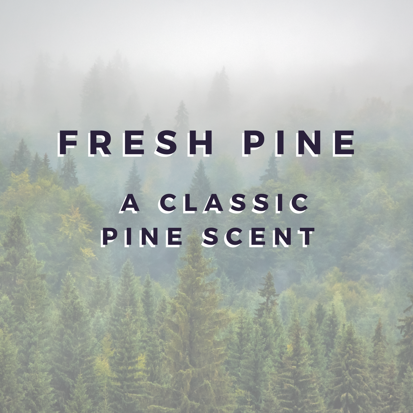 Fresh Pine RETIRING SOON