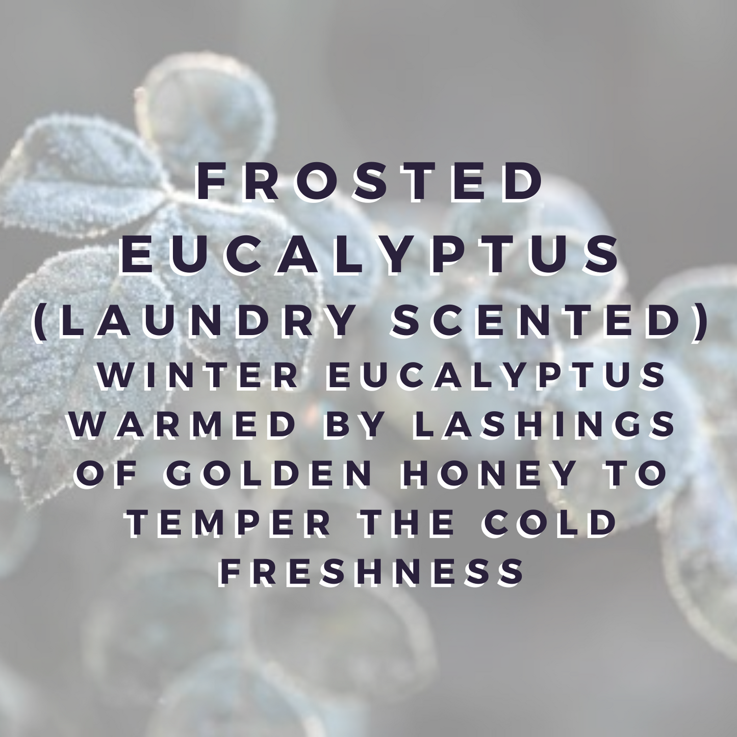 Frosted Eucalyptus Wax Bar (laundry scented)