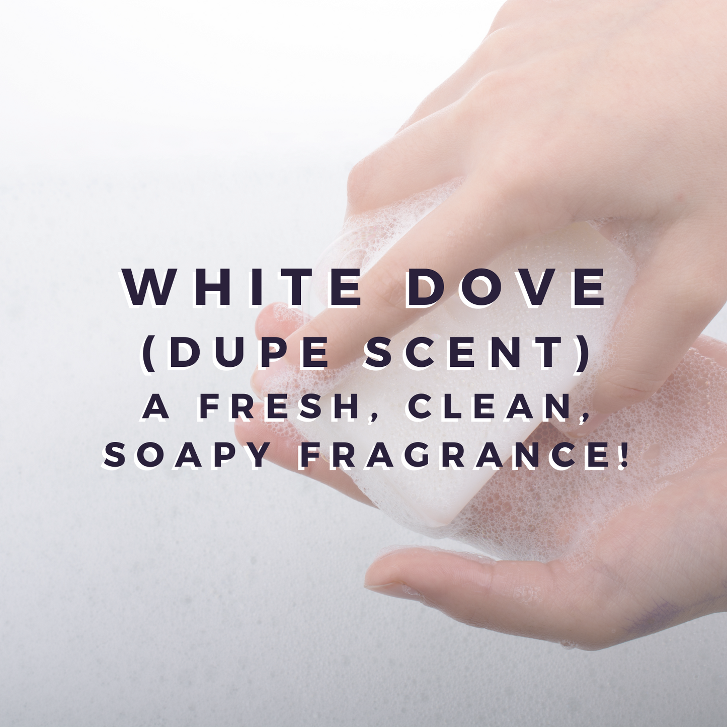 White Dove Wax Bar (dupe scent)