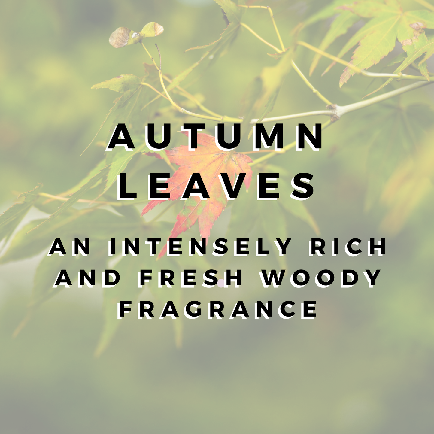 Autumn Leaves Wax Bar