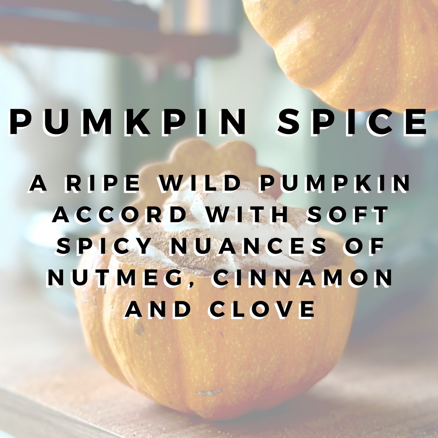 Pumpkin Spice Wax Bar