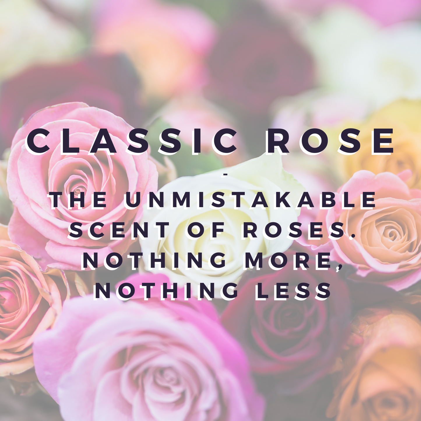 Classic Rose Wax Bar LAST CHANCE