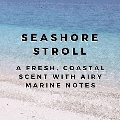 Seashore Stroll Wax Bar