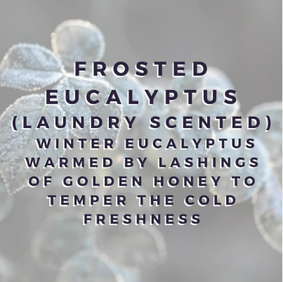 FROSTED EUCALYPTUS Hoover Discs