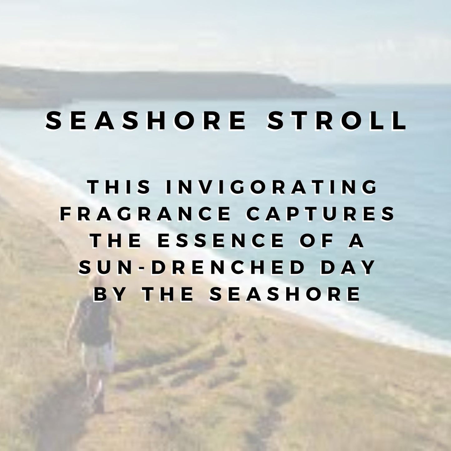 Seashore Stroll Wax Bar