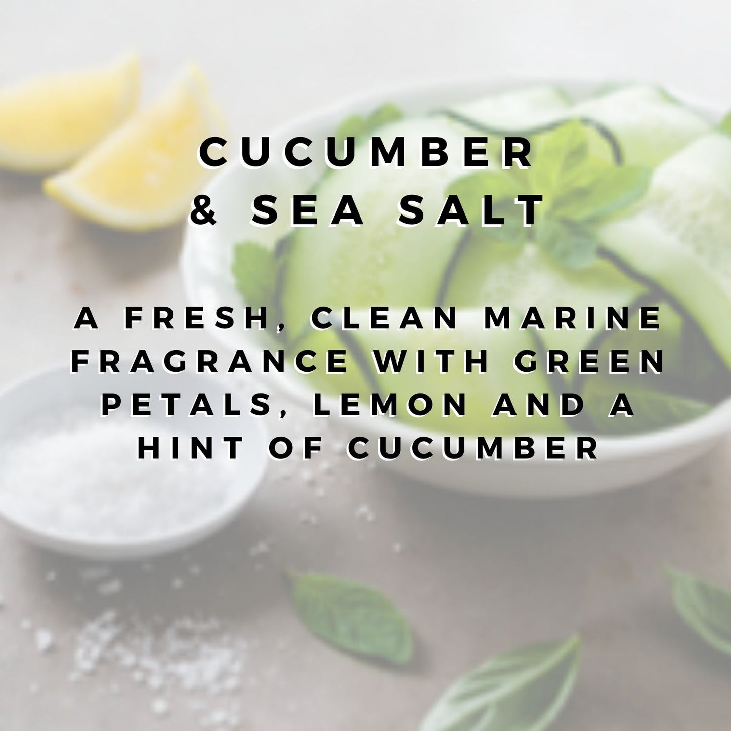 Cucumber & Sea Salt Wax Bar