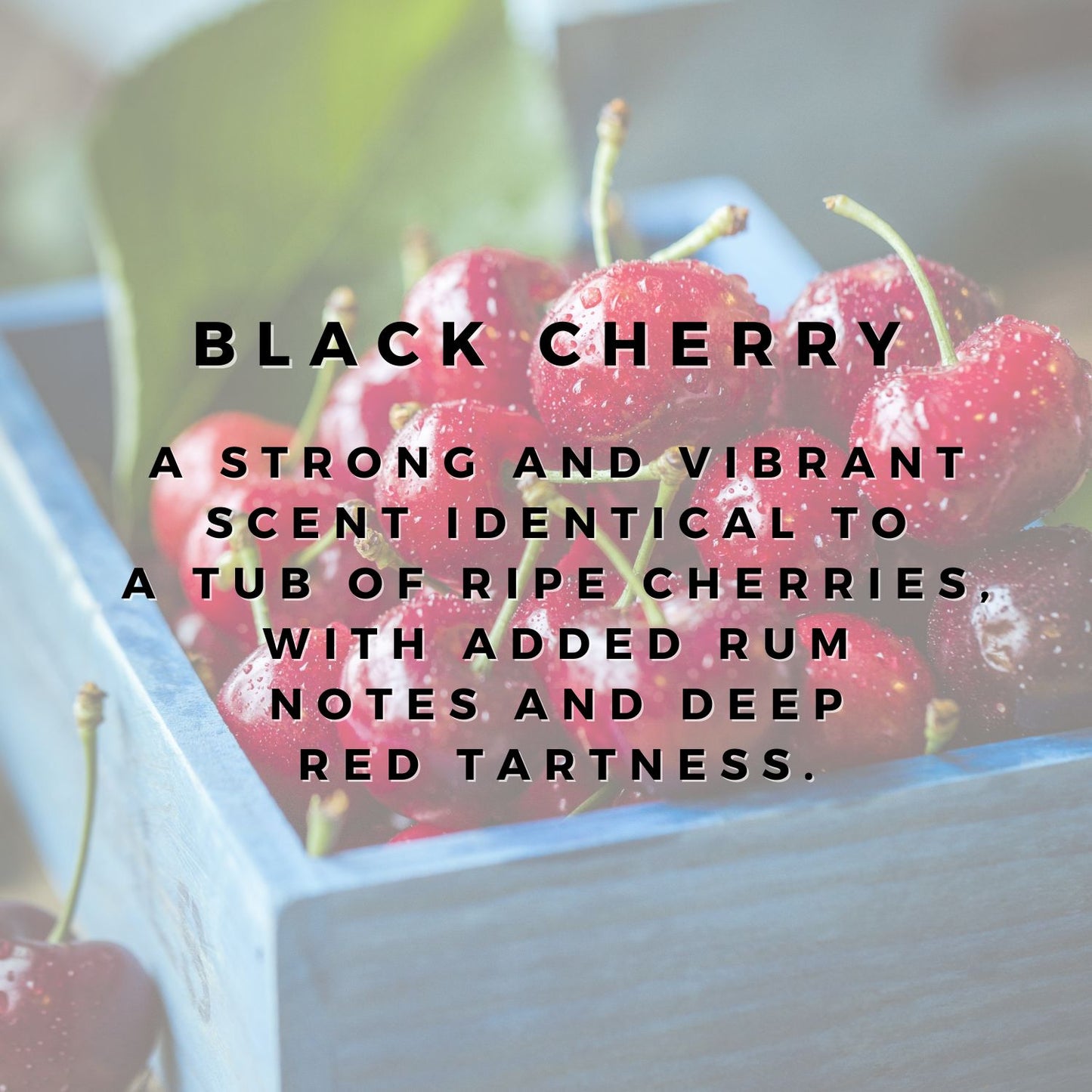 Black Cherry Wax Bar RETIRING SOON
